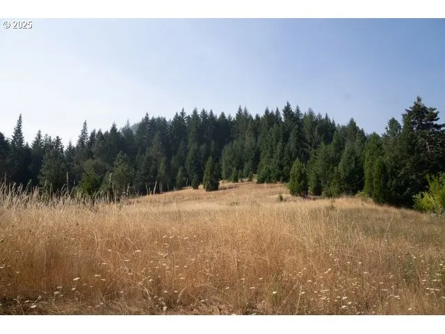 a view of outdoor space with mountain view