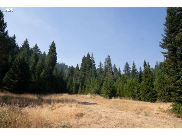 911 Tunnel Road Glendale, OR 97442 - Photo 14 of 29 a view of outdoor space with mountain view