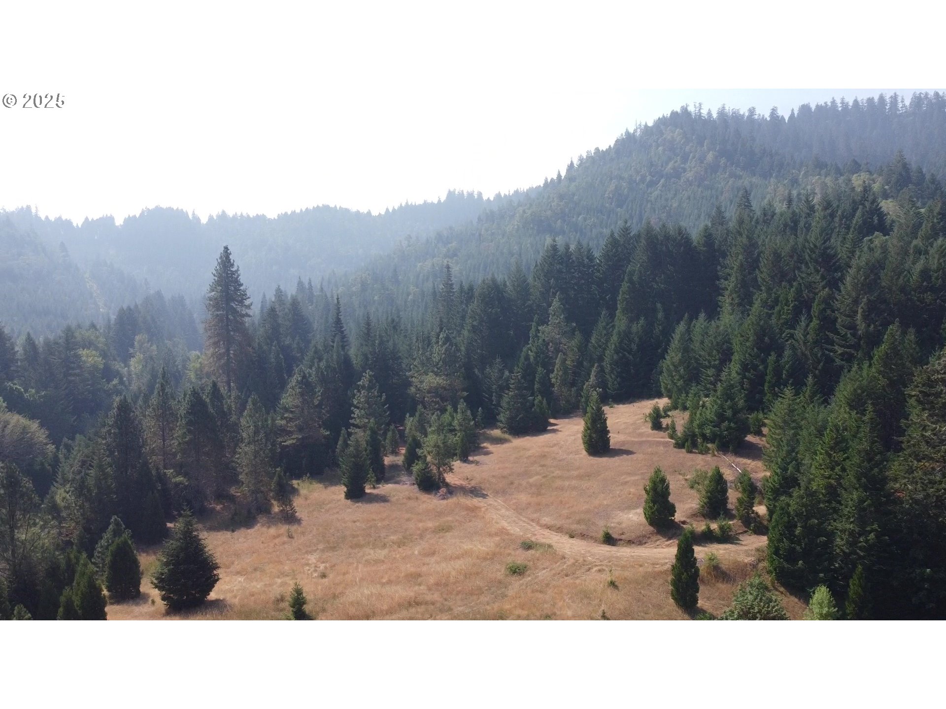 911 Tunnel Road Glendale, OR 97442 - Photo 15 of 29 a outdoor view