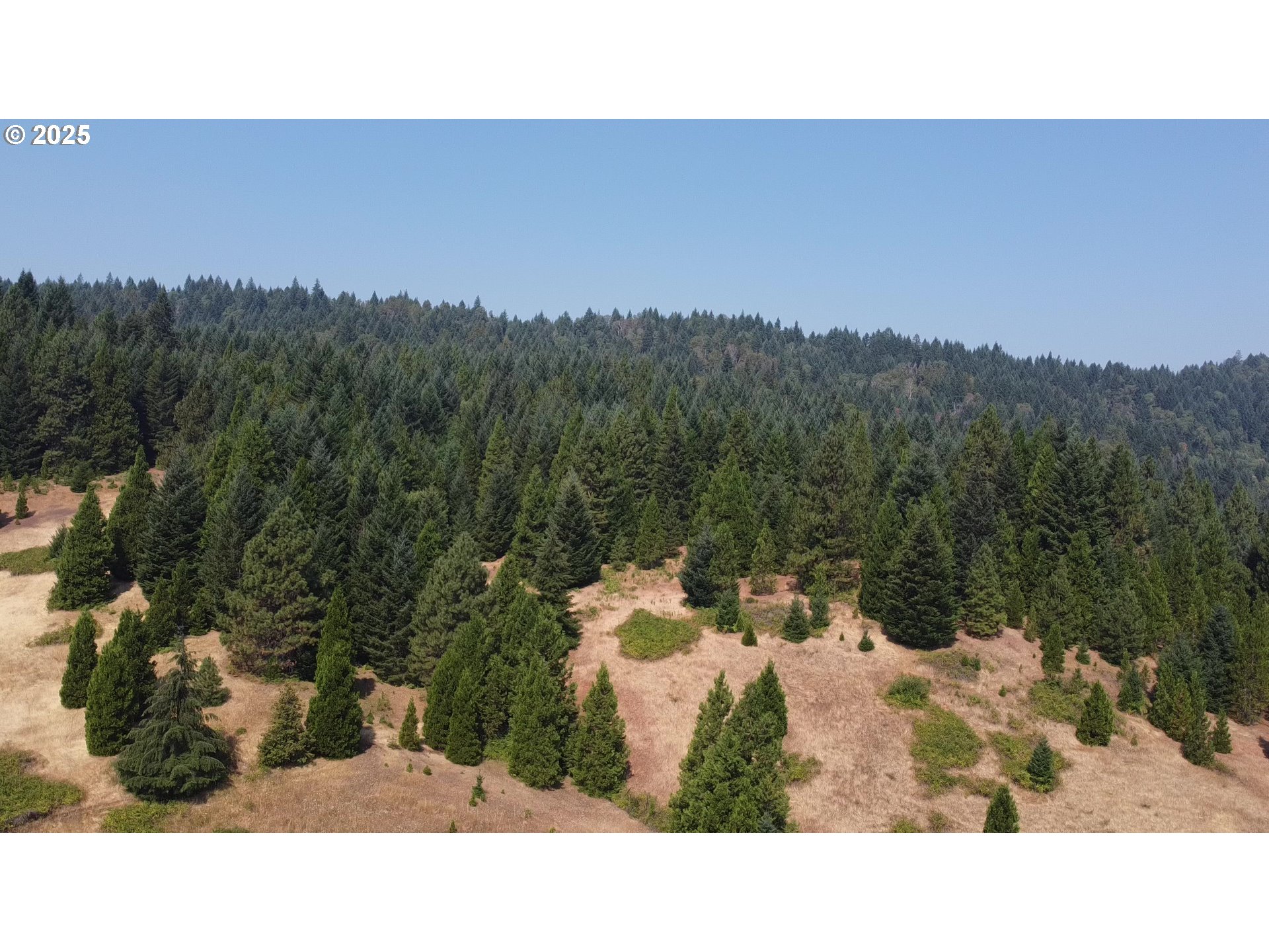 911 Tunnel Road Glendale, OR 97442 - Photo 18 of 29 a outdoor view