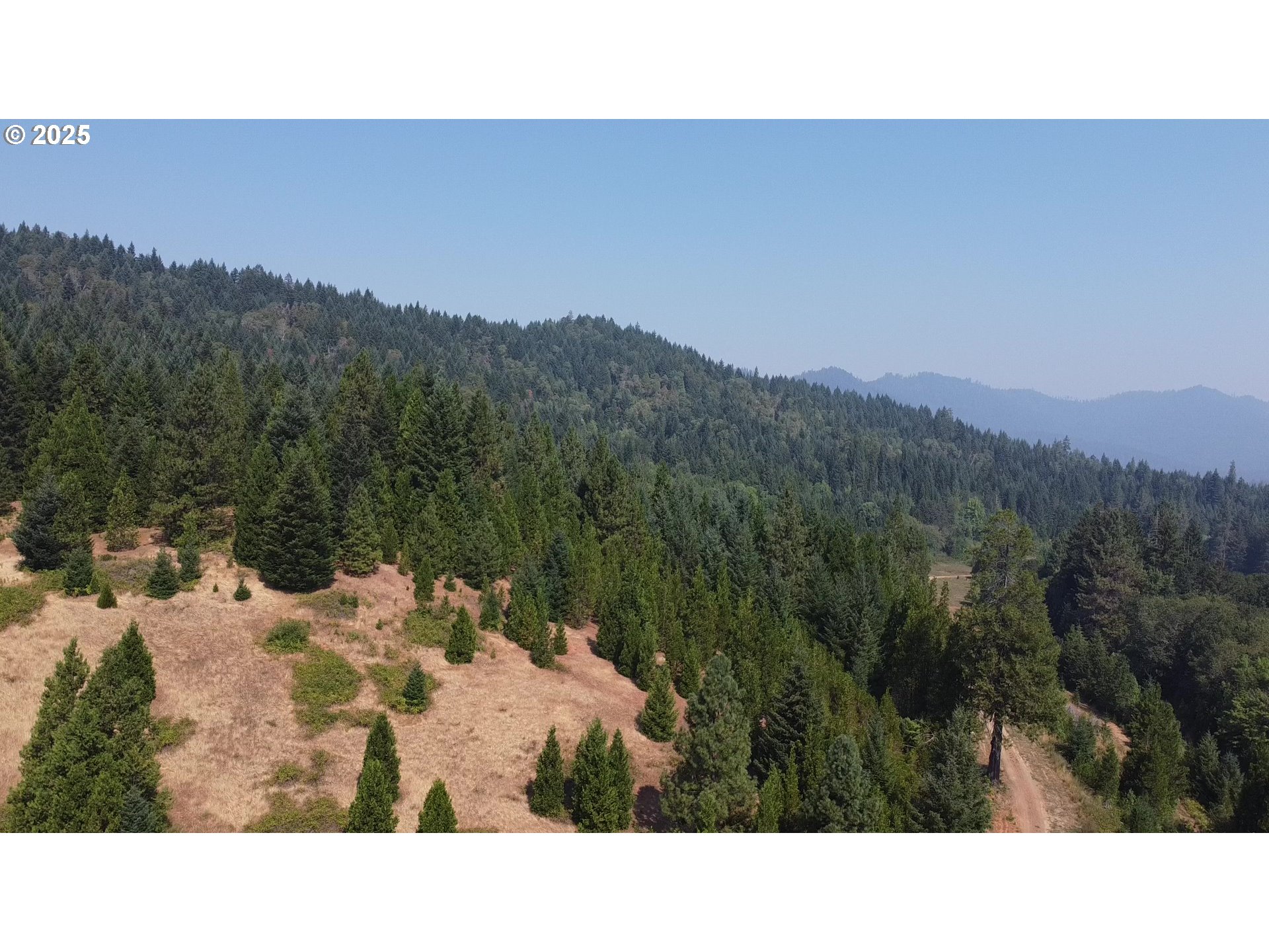 911 Tunnel Road Glendale, OR 97442 - Photo 19 of 29 a outdoor view