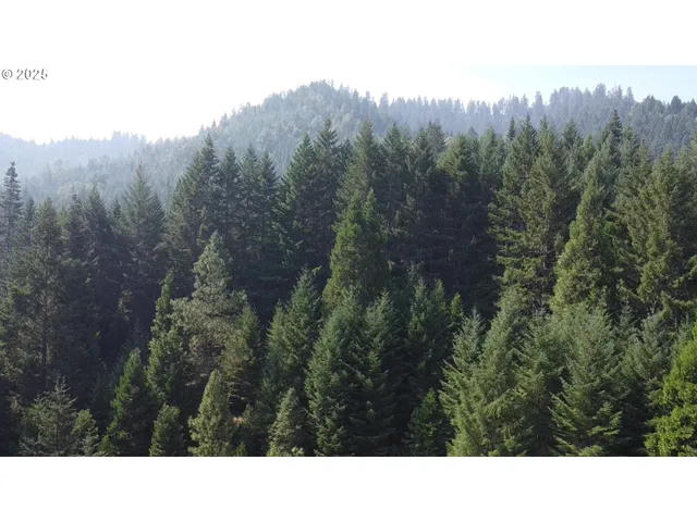 a open area with mountains in the background