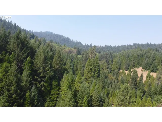 a outdoor view from a lake view