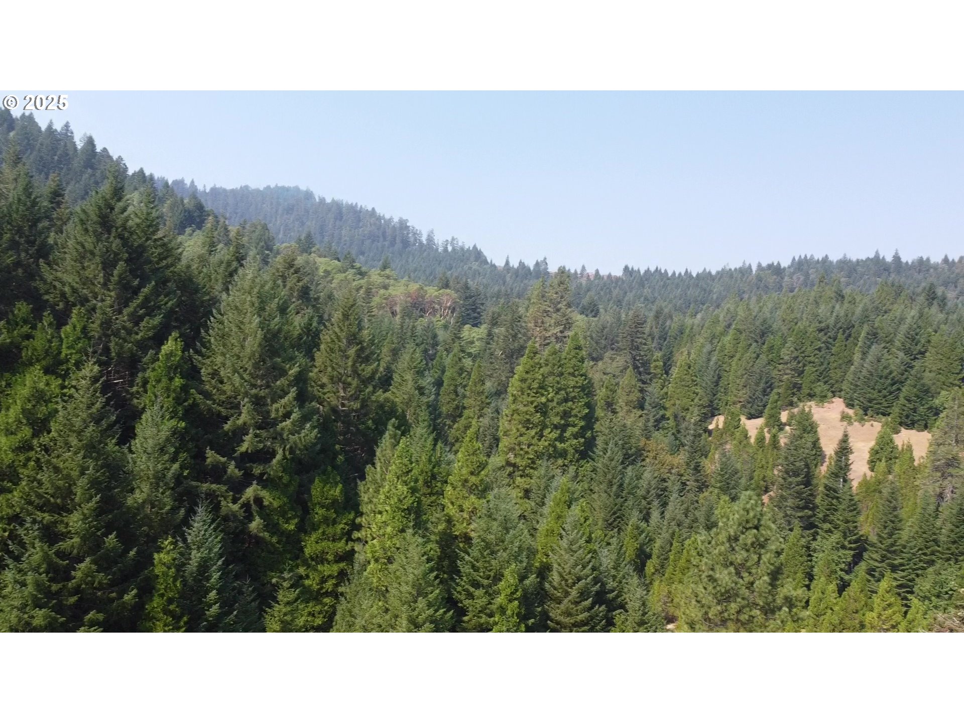 911 Tunnel Road Glendale, OR 97442 - Photo 21 of 29 a open area with mountains in the background