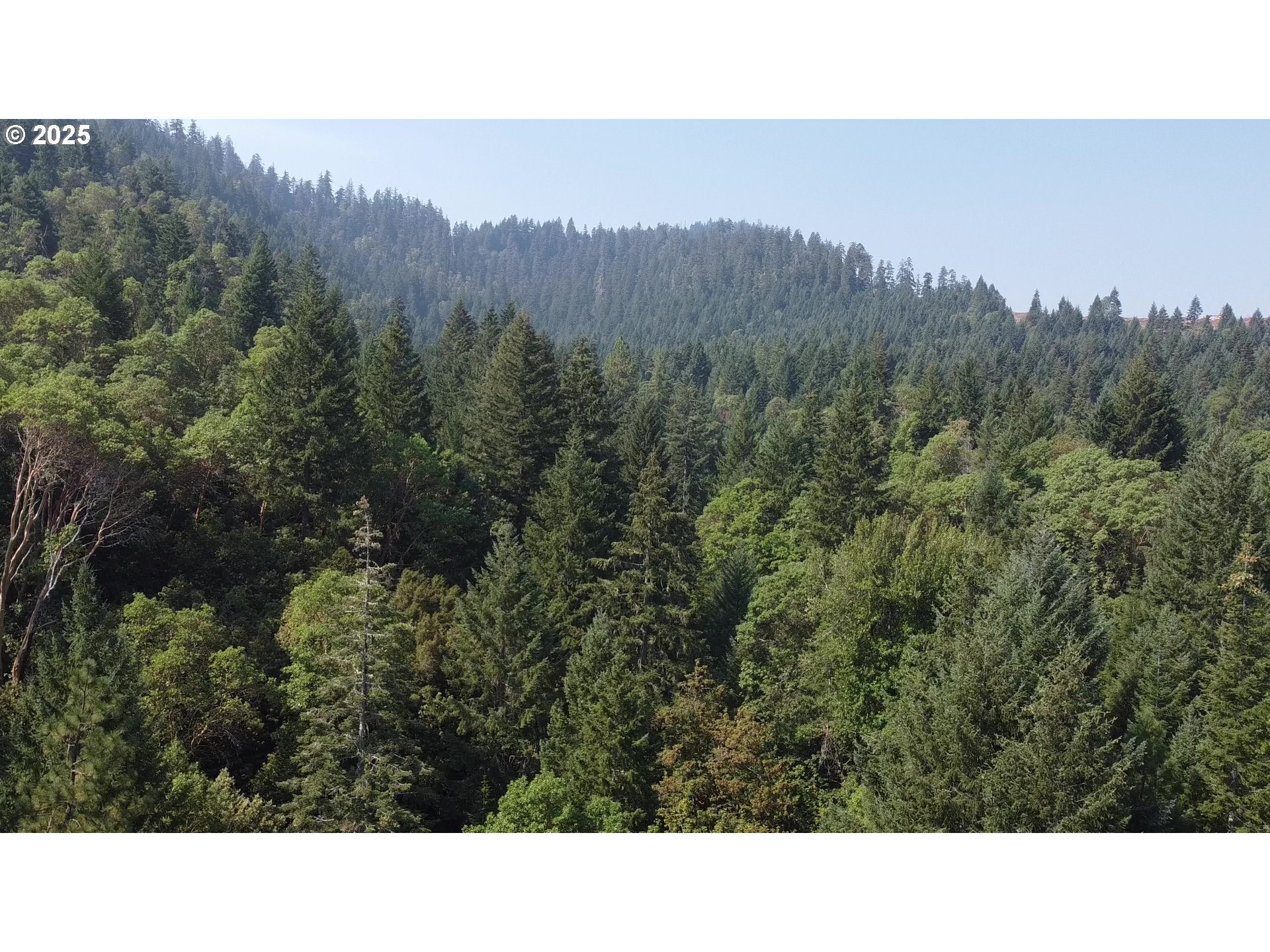 911 Tunnel Road Glendale, OR 97442 - Photo 27 of 29 a black and white photo of a house
