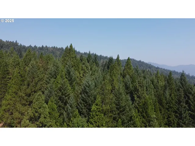 a black and white photo of a house