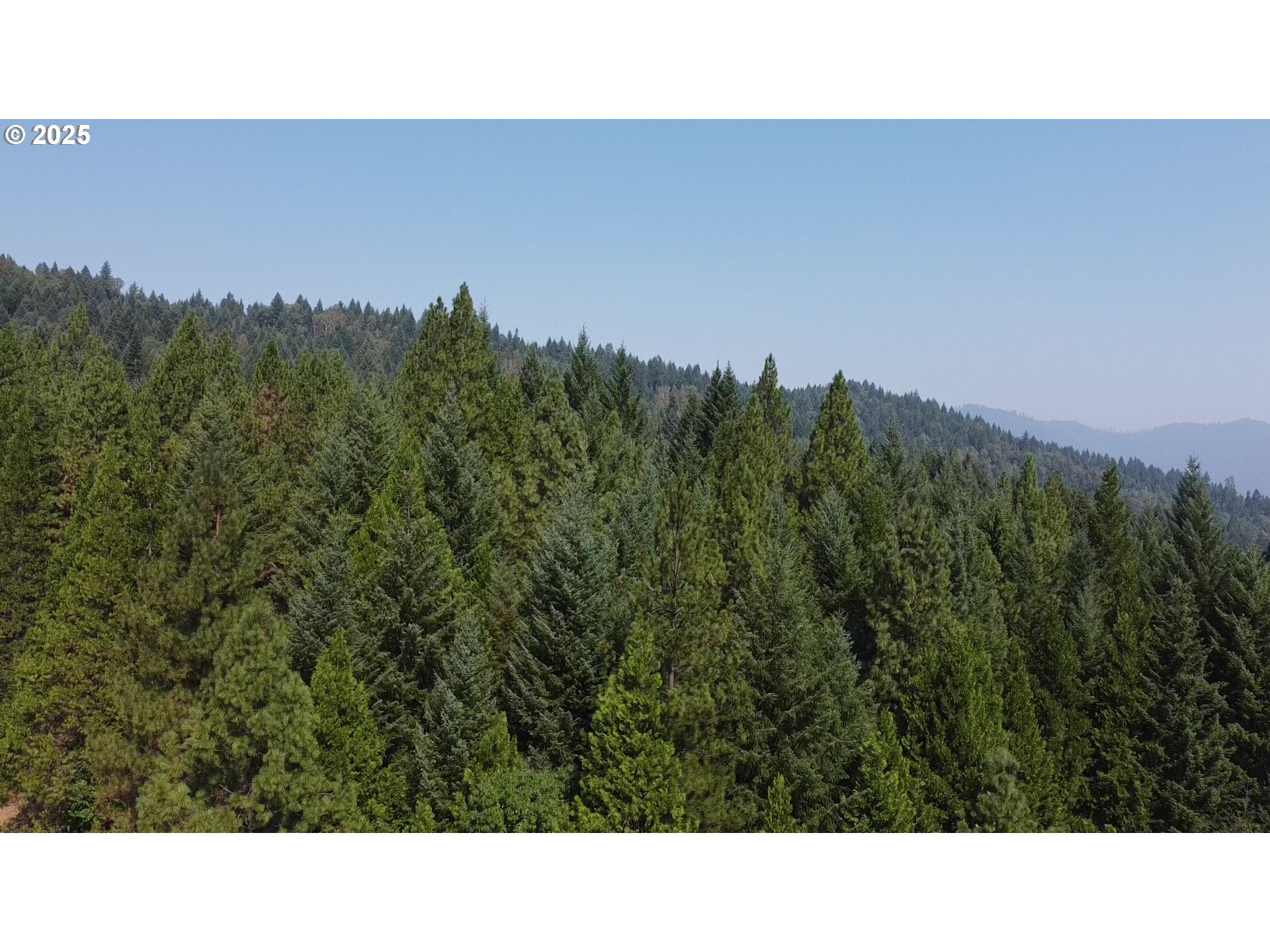 911 Tunnel Road Glendale, OR 97442 - Photo 28 of 29 a open area with green field