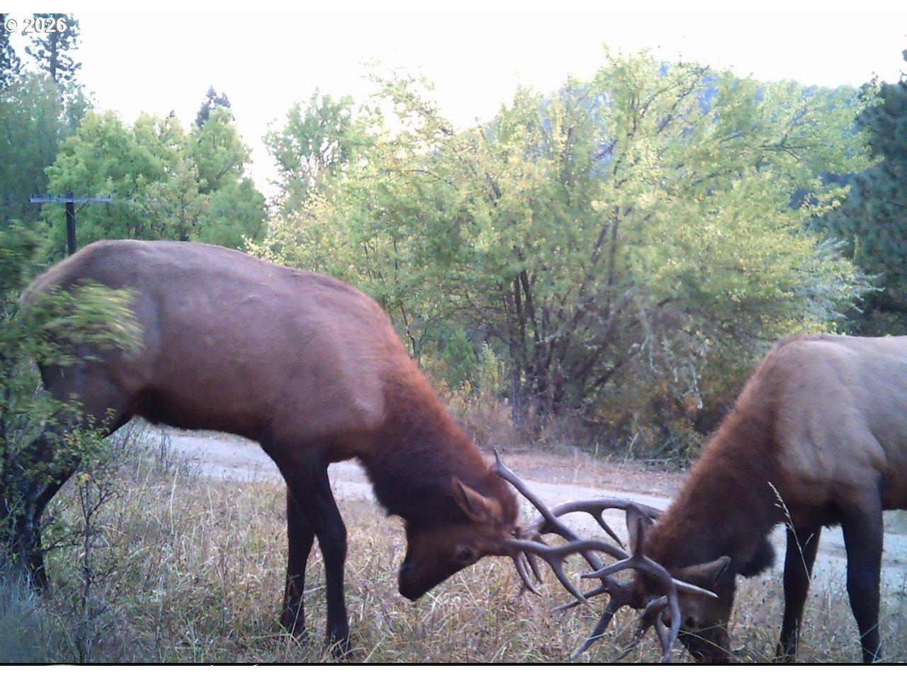 911 Tunnel Road Glendale, OR 97442 - Photo 30 of 33