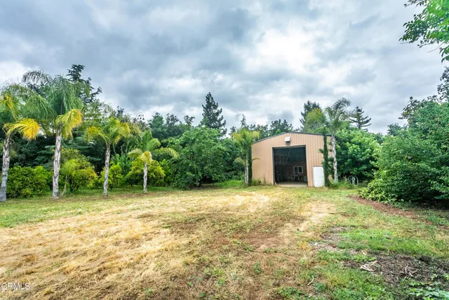 a view of a plant with a plant