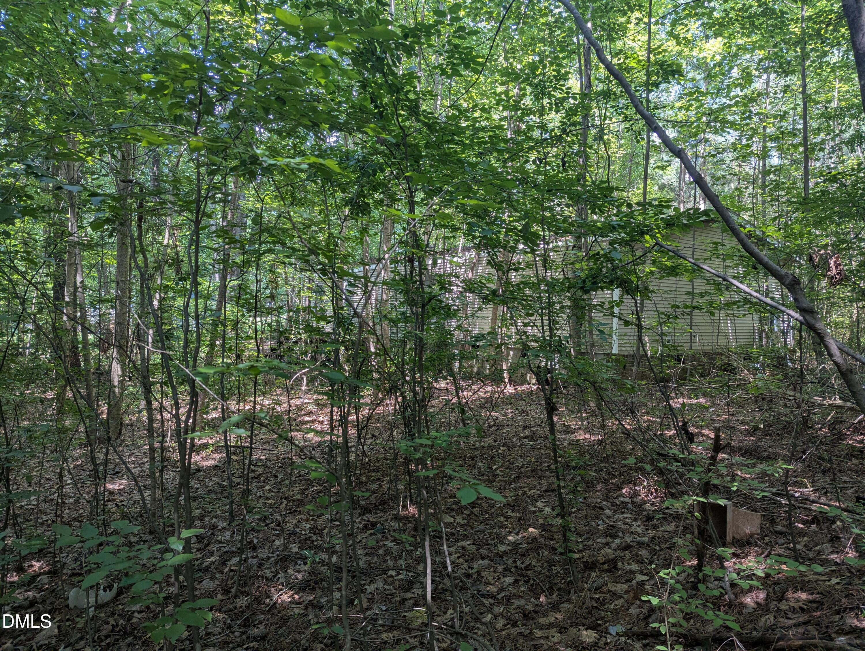 275 Perry Town Road Warrenton, NC 27589 - Photo 3 of 4 3_beyc69ee5b6e7e2af