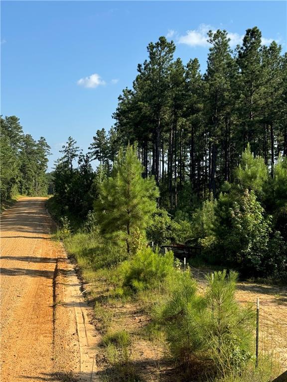 223 Dug Leckie Cutoff Road Pollock, LA 71467 - Photo 3 of 6 Gallery Image 3