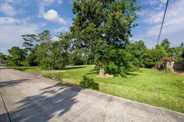 a view of a yard with plants and a trees