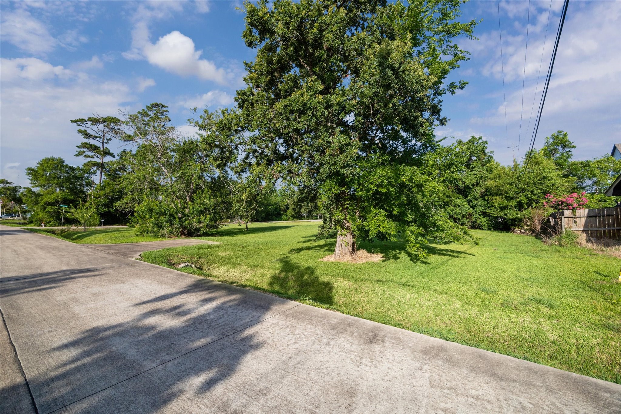 3410 Byway Avenue Shoreacres, TX 77571 - Photo 2 of 12 a view of a yard with plants and a trees