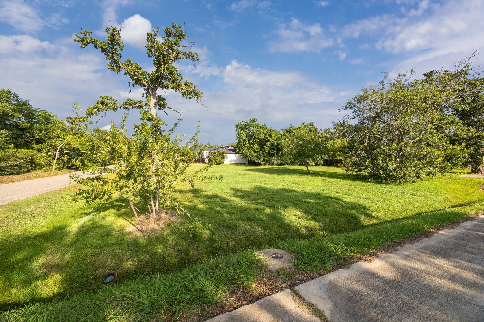 3410 Byway Avenue Shoreacres, TX 77571 - Photo 6 of 12 a view of a garden with an outdoor space