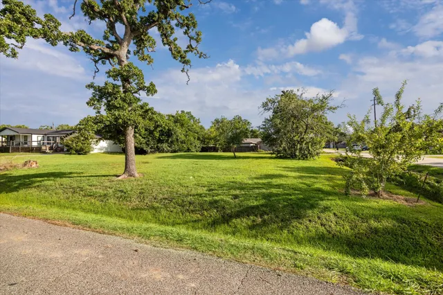 a view of a field with a tree in the background