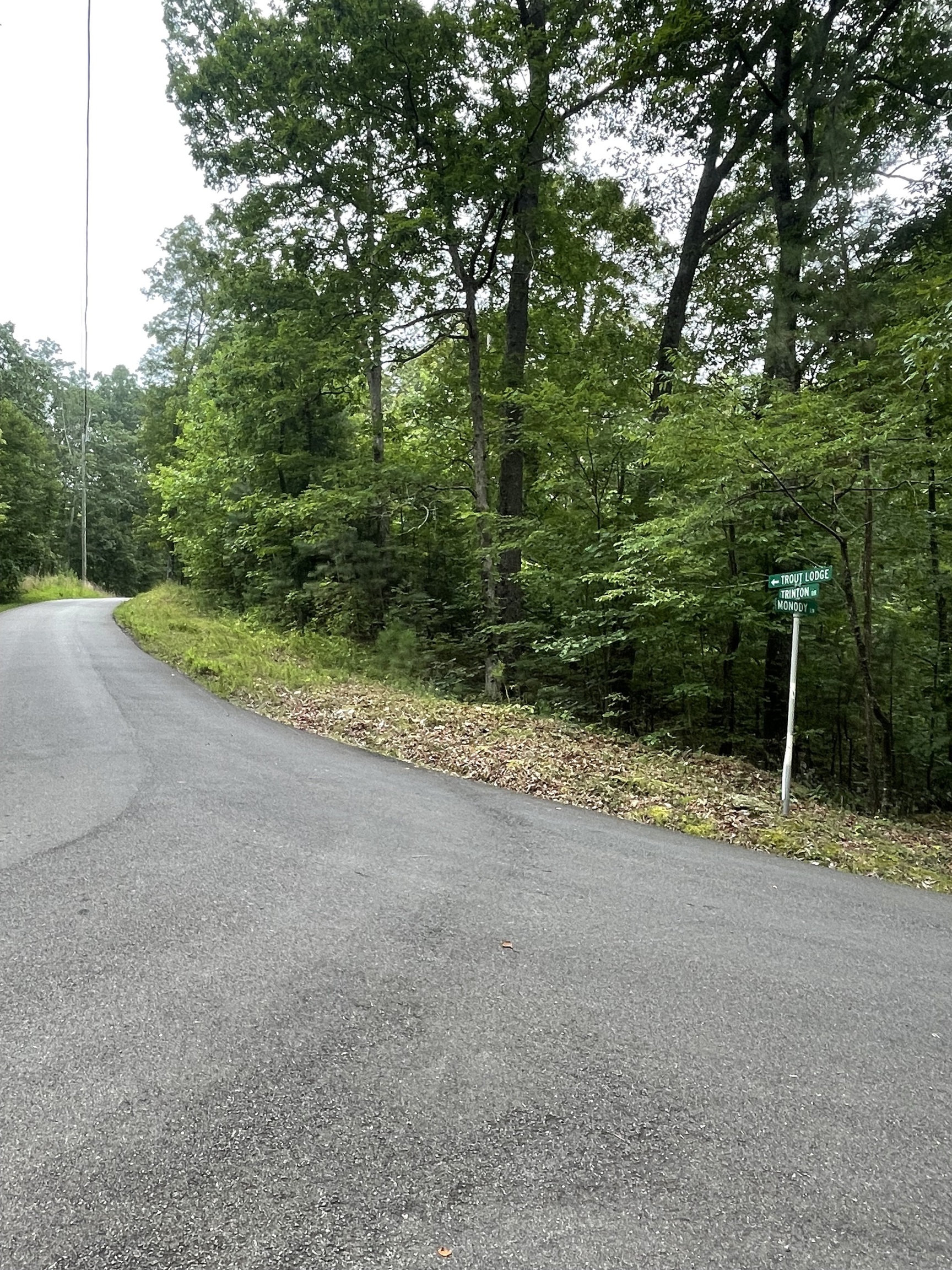 838 Trinton Drive Ranger, GA 30734 - Photo 3 of 36 a view of a yard with plants and trees