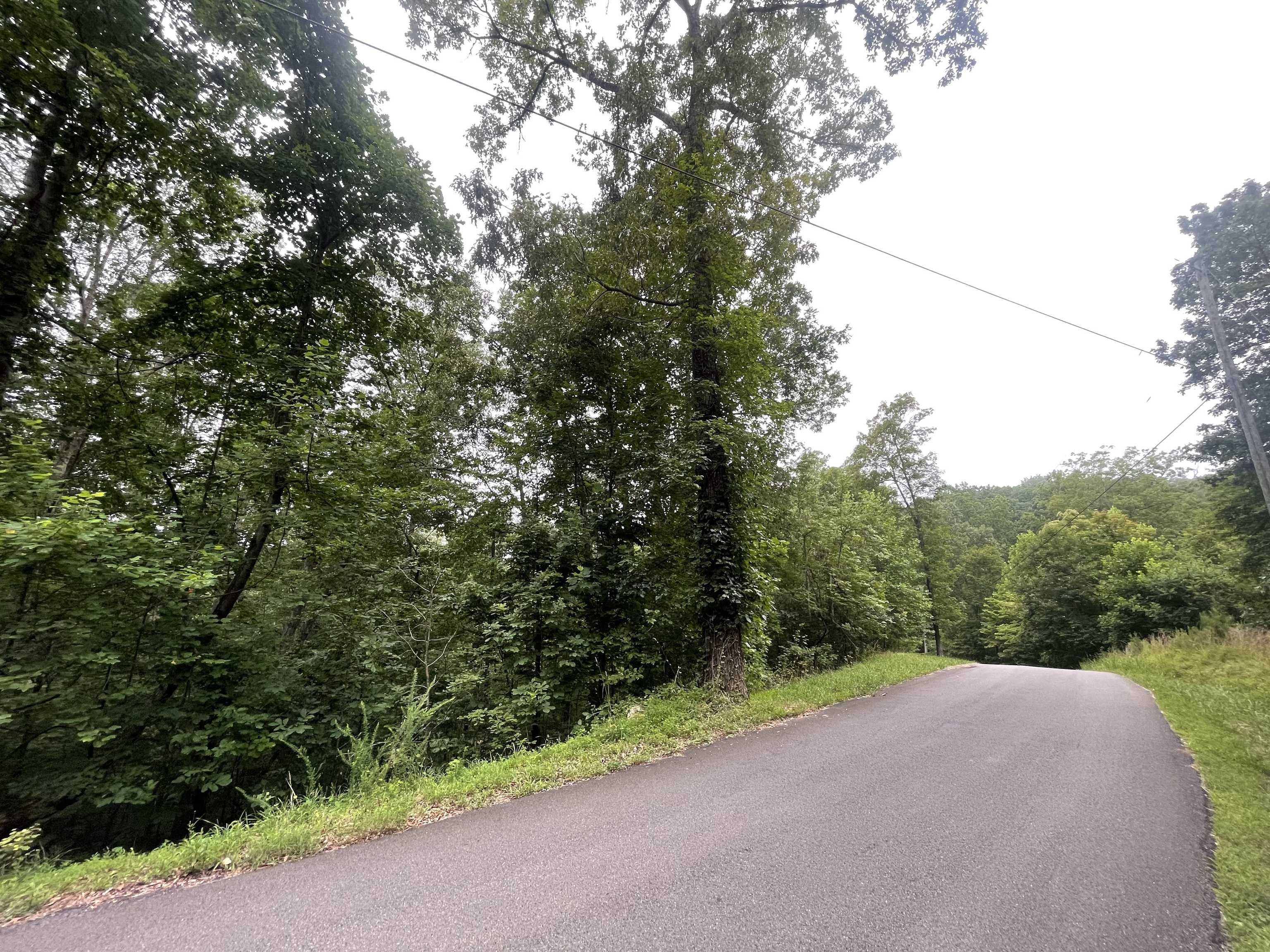 838 Trinton Drive Ranger, GA 30734 - Photo 4 of 36 a view of a road with a trees