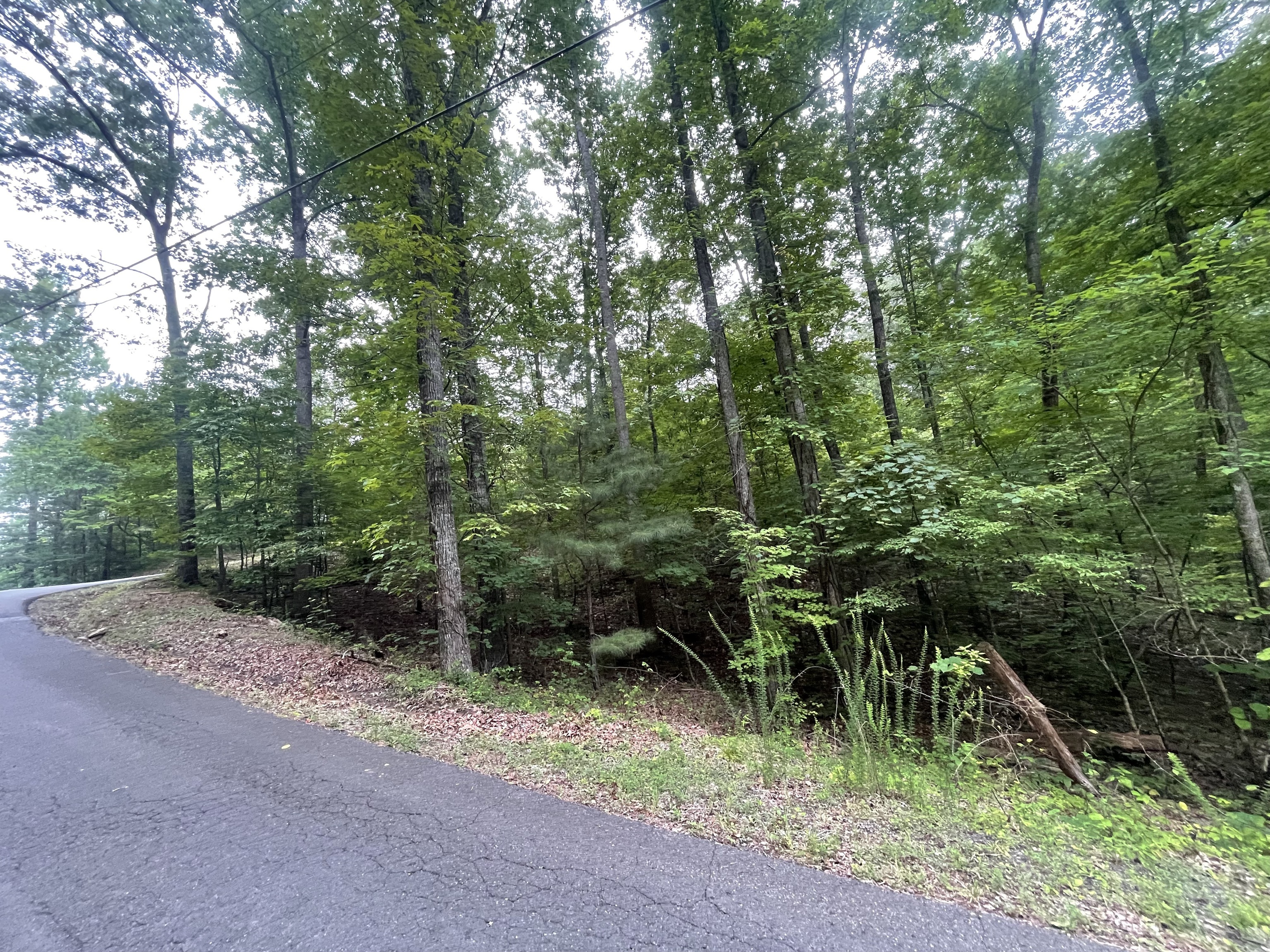 838 Trinton Drive Ranger, GA 30734 - Photo 5 of 36 a big yard with lots of green space and trees