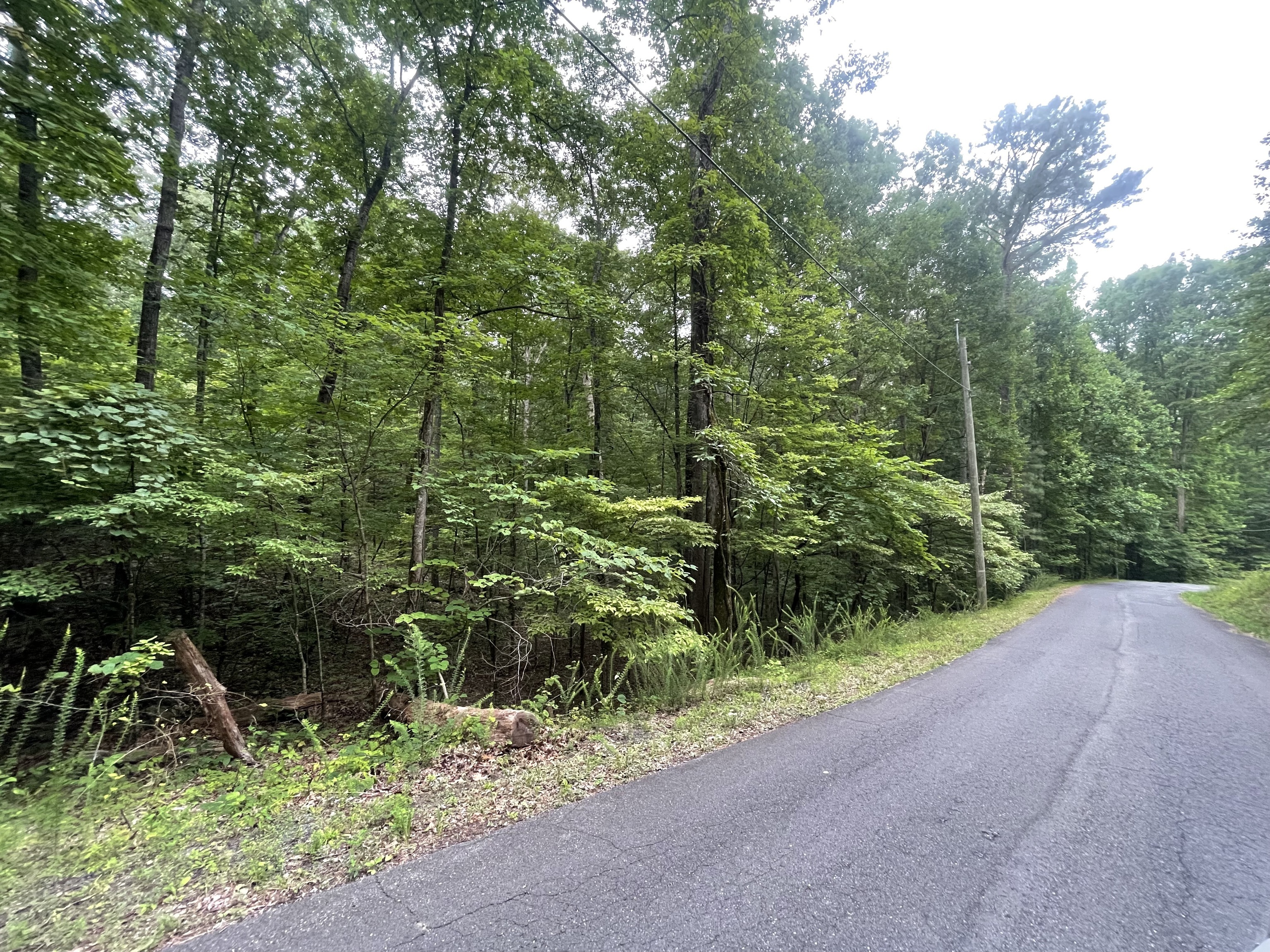 838 Trinton Drive Ranger, GA 30734 - Photo 6 of 36 a view of outdoor space and green space