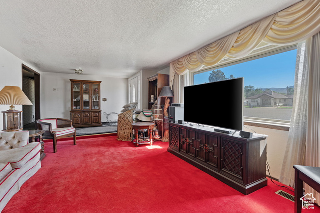 40 South 100 E Road Fillmore, UT 84631 - Photo 12 of 44