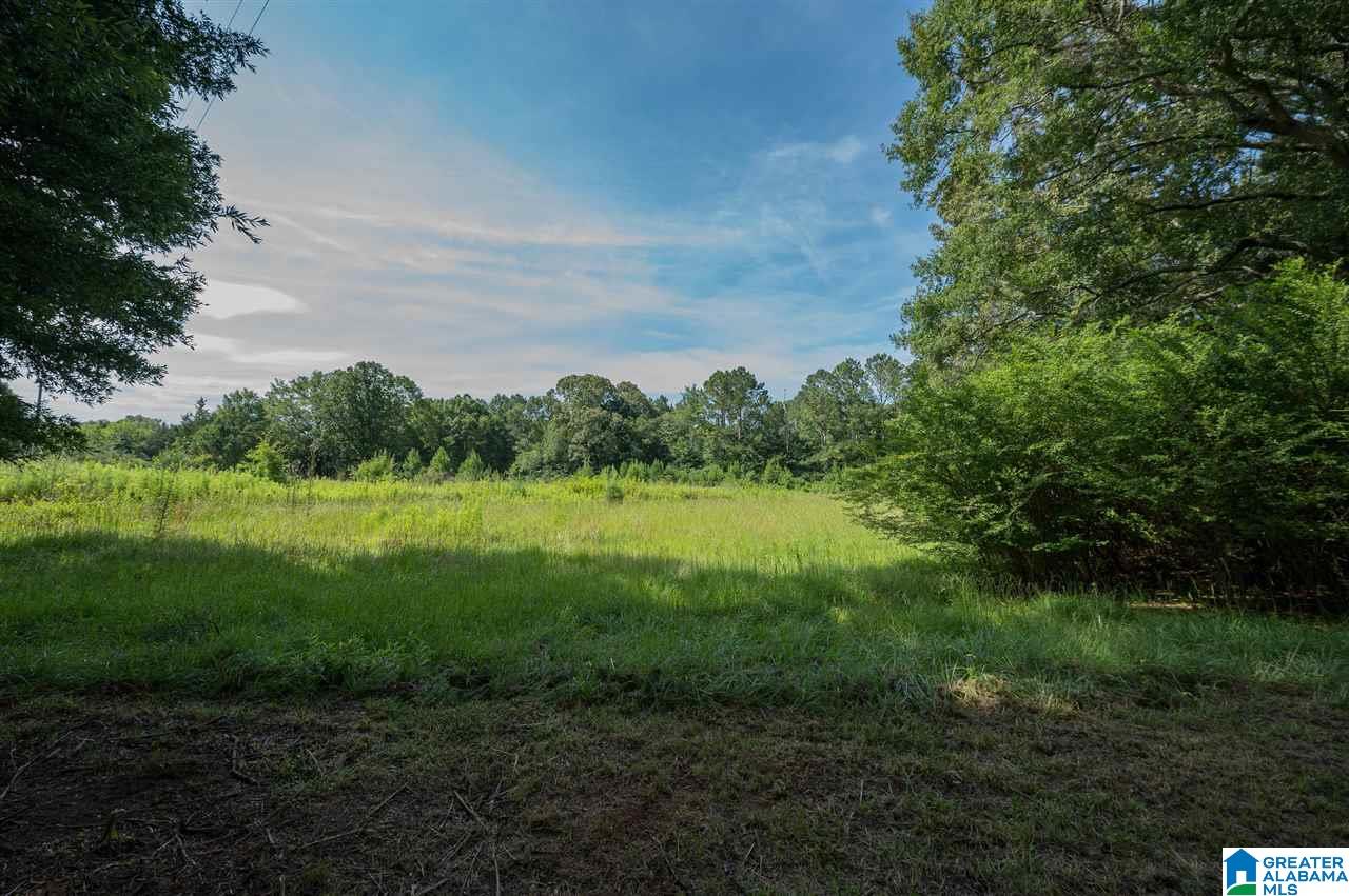 10929 Jackson Trace Road Lincoln, AL 35096 - Photo 41 of 50