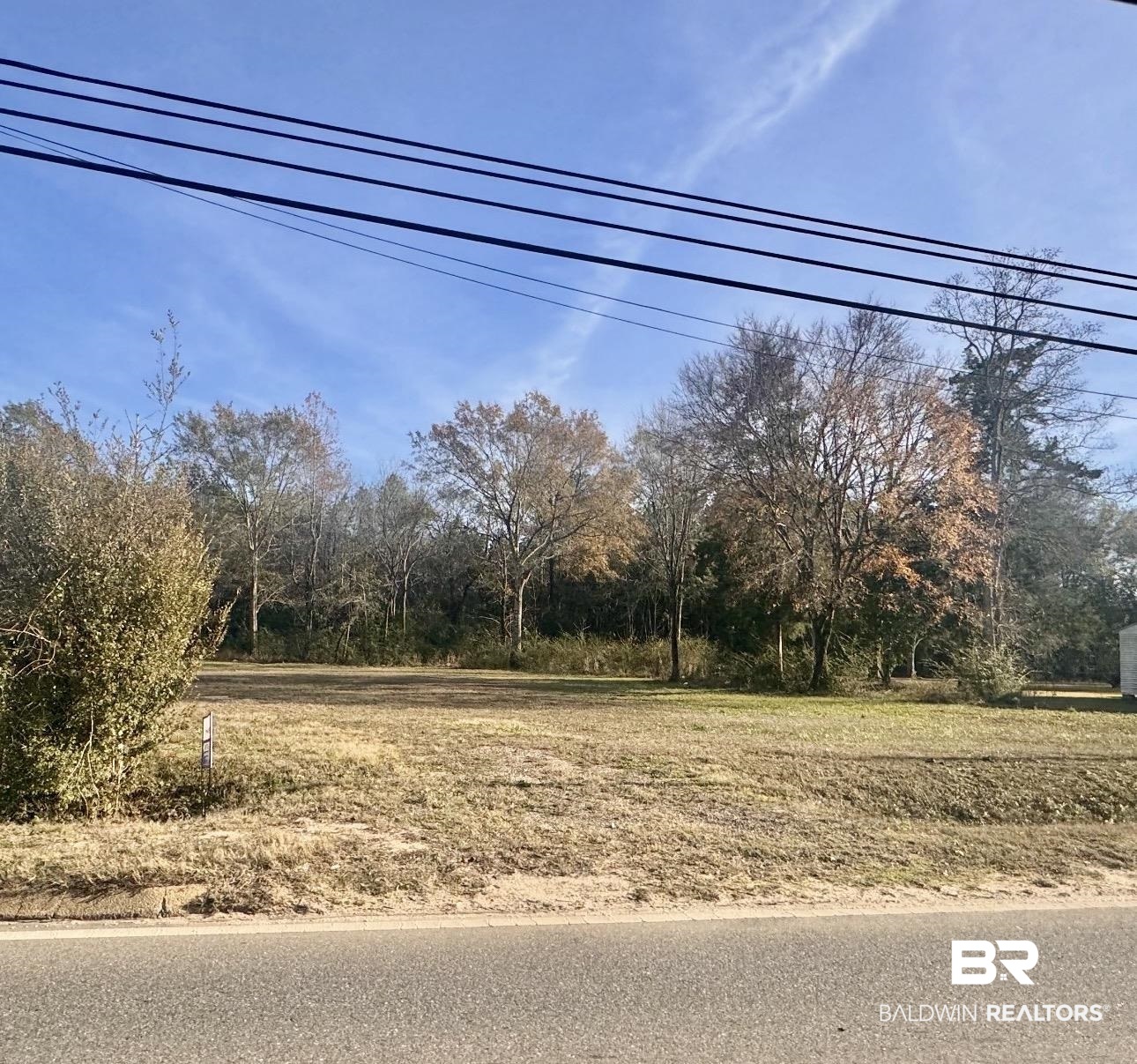 3083 South Alabama Avenue Monroeville, AL 36460 - Photo 4 of 19