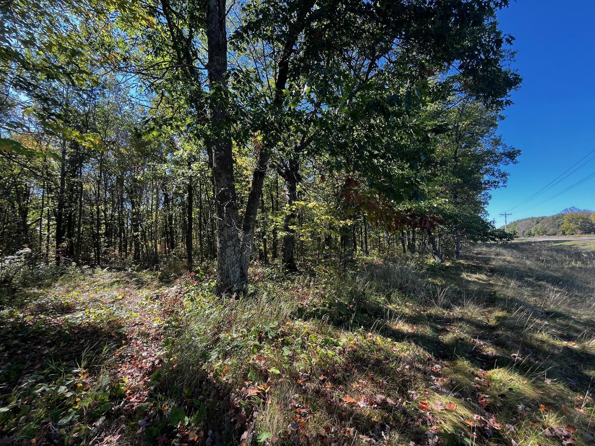 2 County Road 2 Brainerd, MN 56401 - Photo 9 of 20