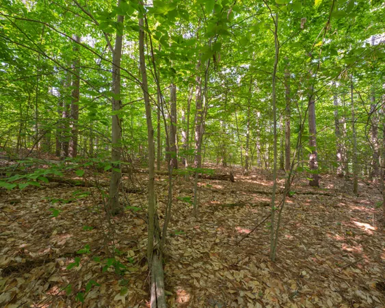 $69,900 | Vl West Phelps Road, Manton, MI 49663