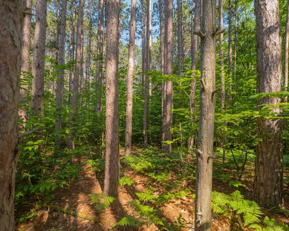 $69,900 | Vl West Phelps Road, Manton, MI 49663