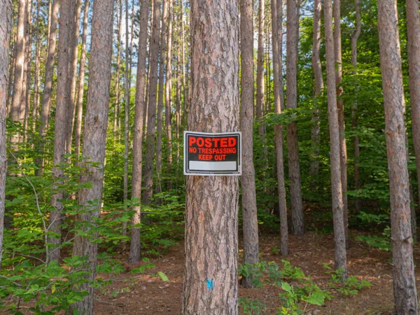 $69,900 | Vl West Phelps Road, Manton, MI 49663