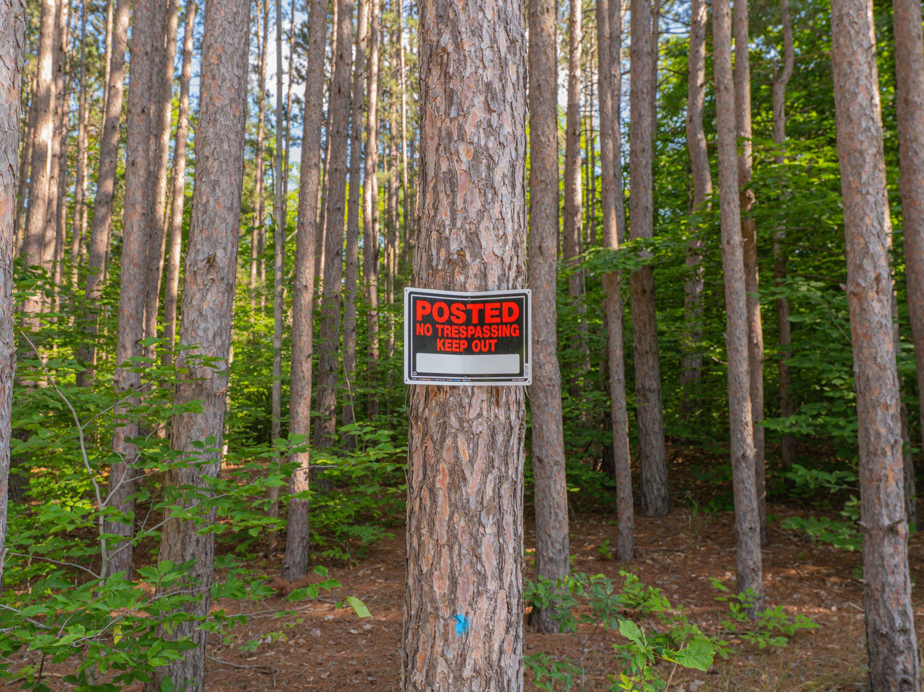 Vl West Phelps Road Manton, MI 49663 - Photo 15 of 16 P1000312