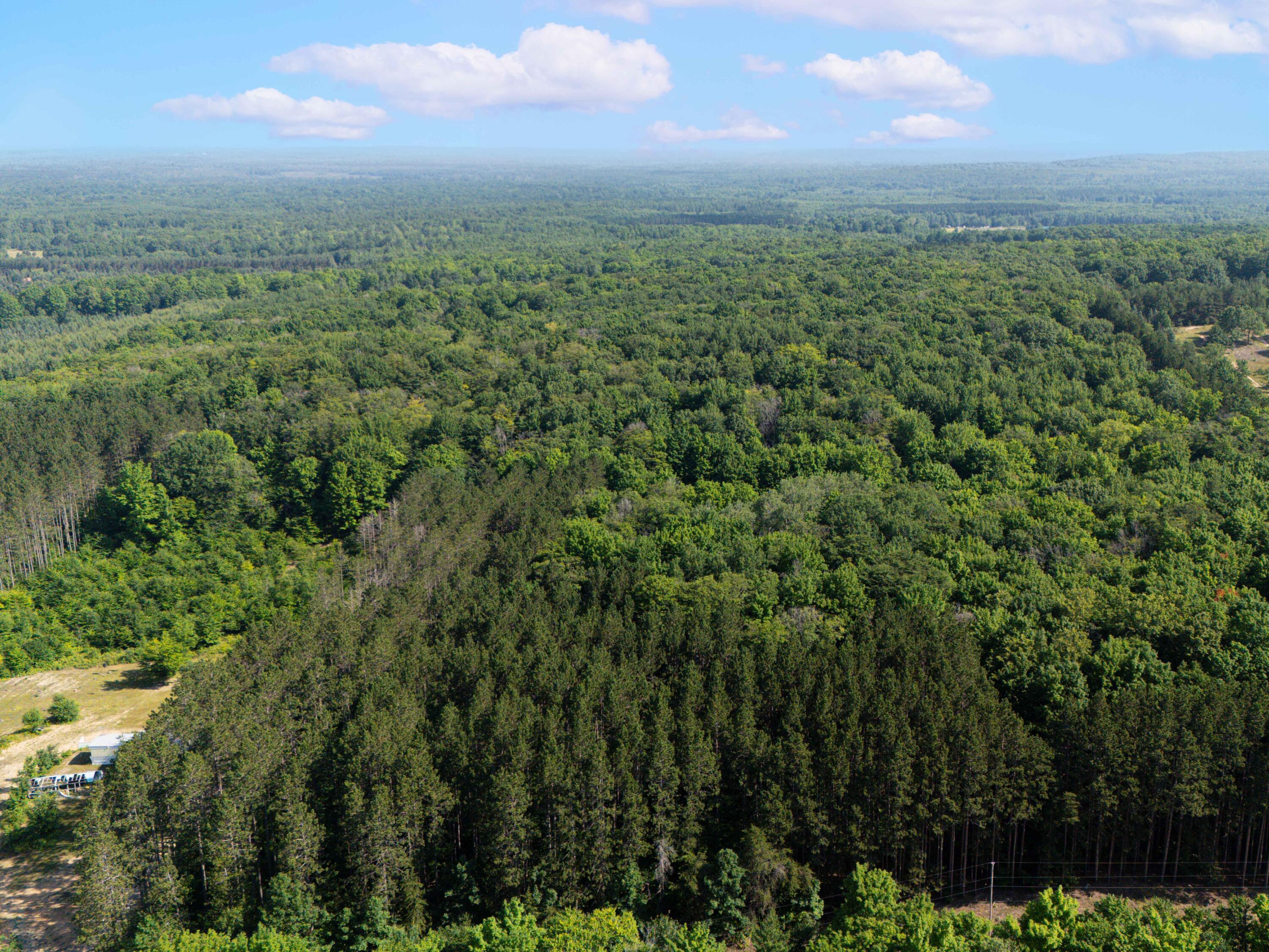 Vl West Phelps Road Manton, MI 49663 - Photo 16 of 16 DJI_20250709101528_0038_D-Edit