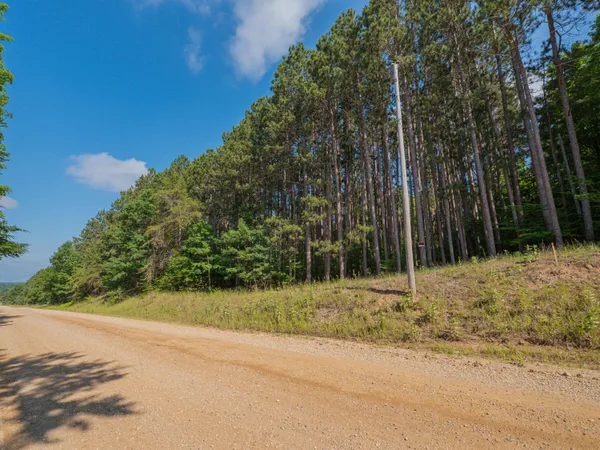 $69,900 | Vl West Phelps Road, Manton, MI 49663