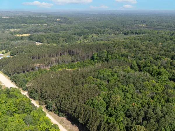 $69,900 | Vl West Phelps Road, Manton, MI 49663