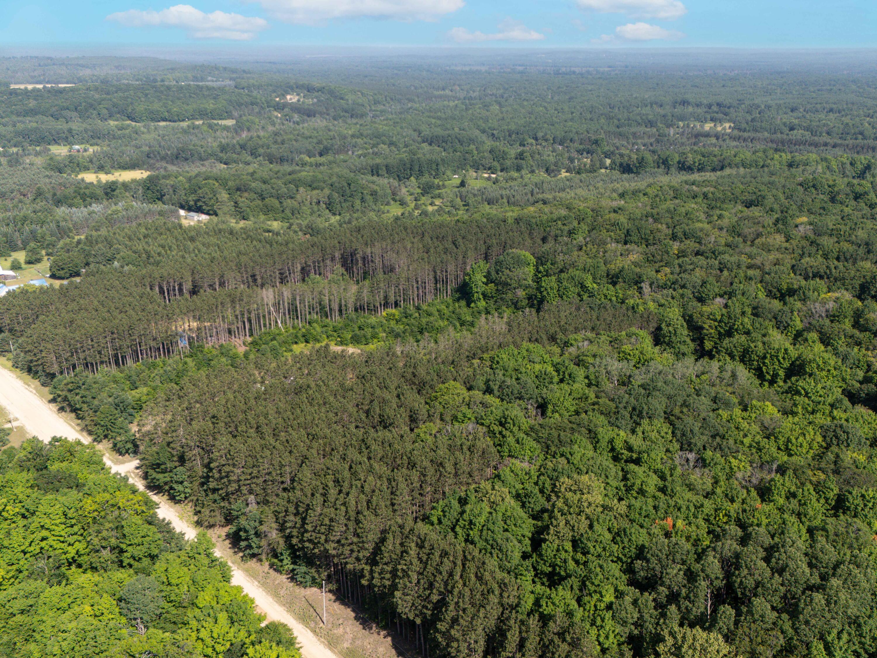 Vl West Phelps Road Manton, MI 49663 - Photo 3 of 16 DJI_20250709101549_0039_D-Edit