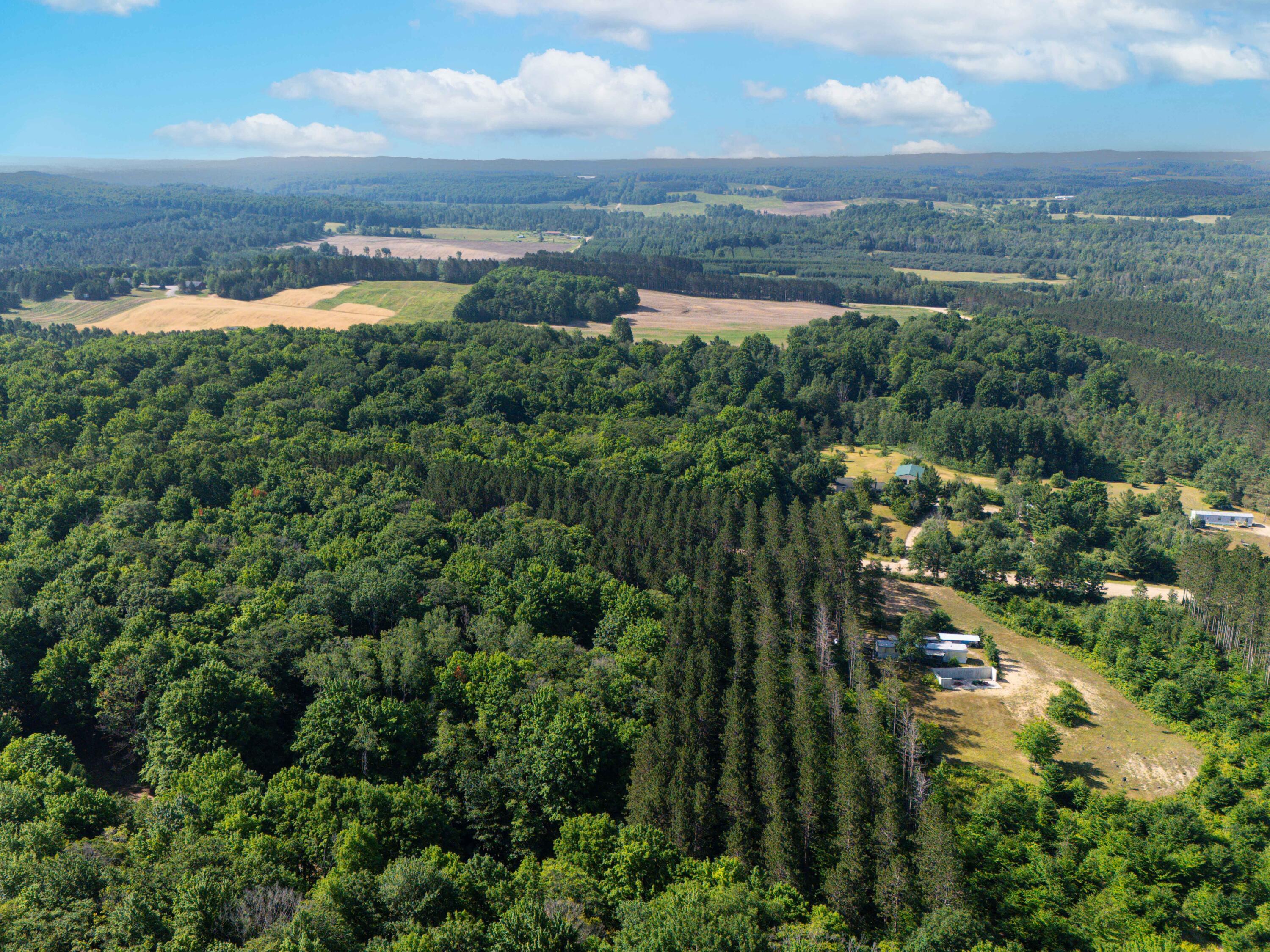 Vl West Phelps Road Manton, MI 49663 - Photo 4 of 16 DJI_20250709101706_0040_D-Edit
