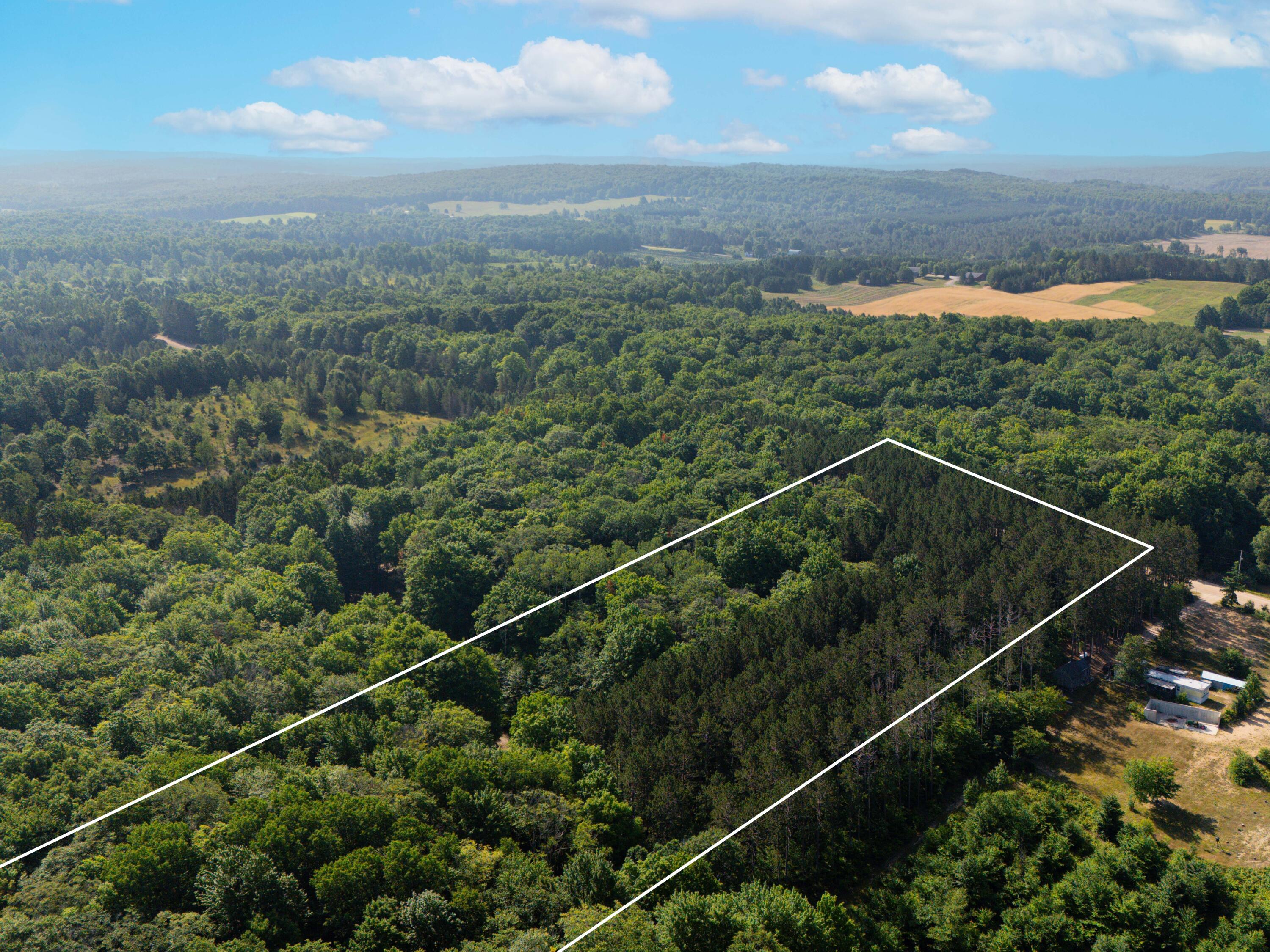 Vl West Phelps Road Manton, MI 49663 - Photo 5 of 16 DJI_20250709101732_0041_D Lot Lines