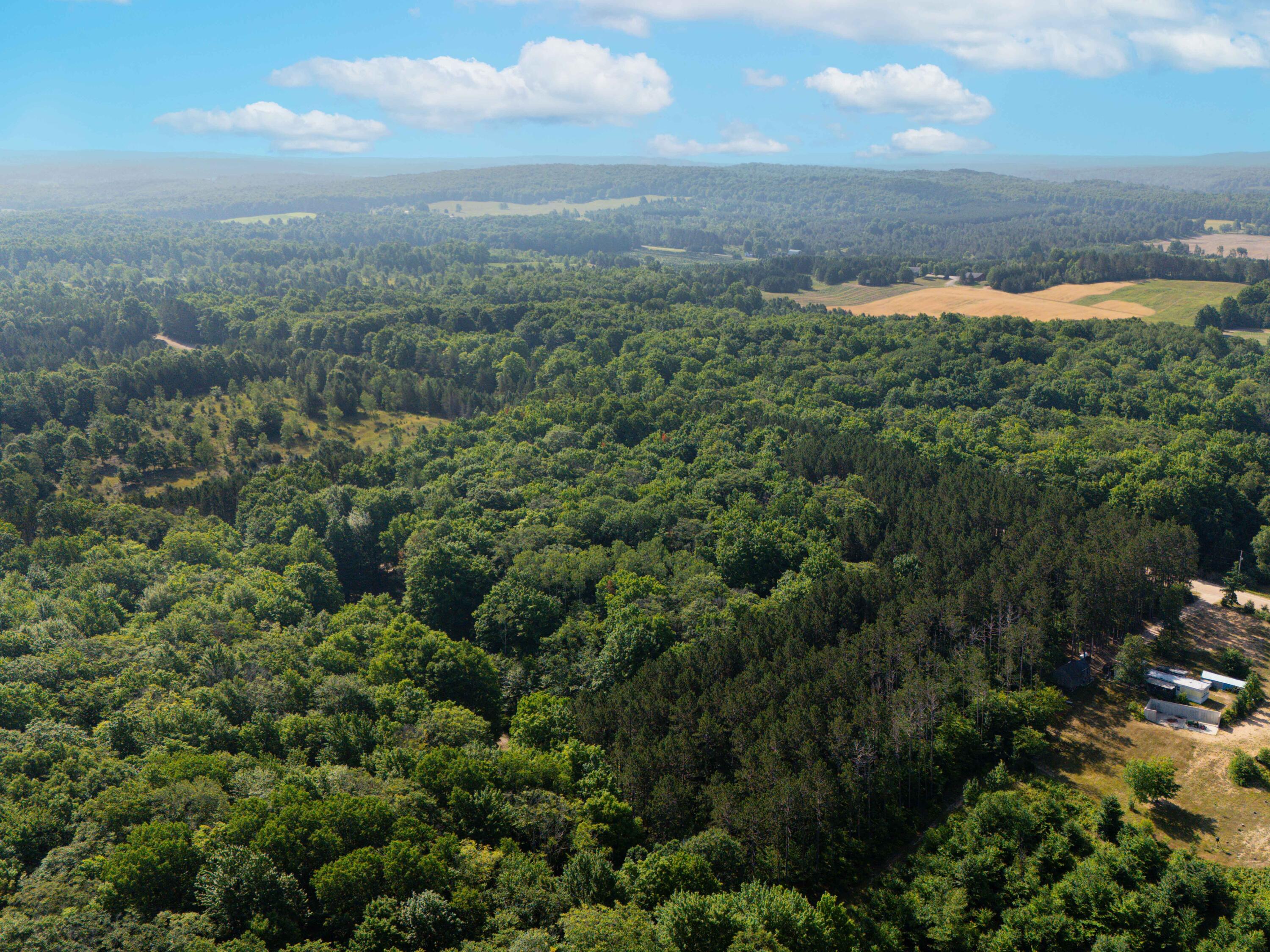 Vl West Phelps Road Manton, MI 49663 - Photo 6 of 16 DJI_20250709101732_0041_D-Edit