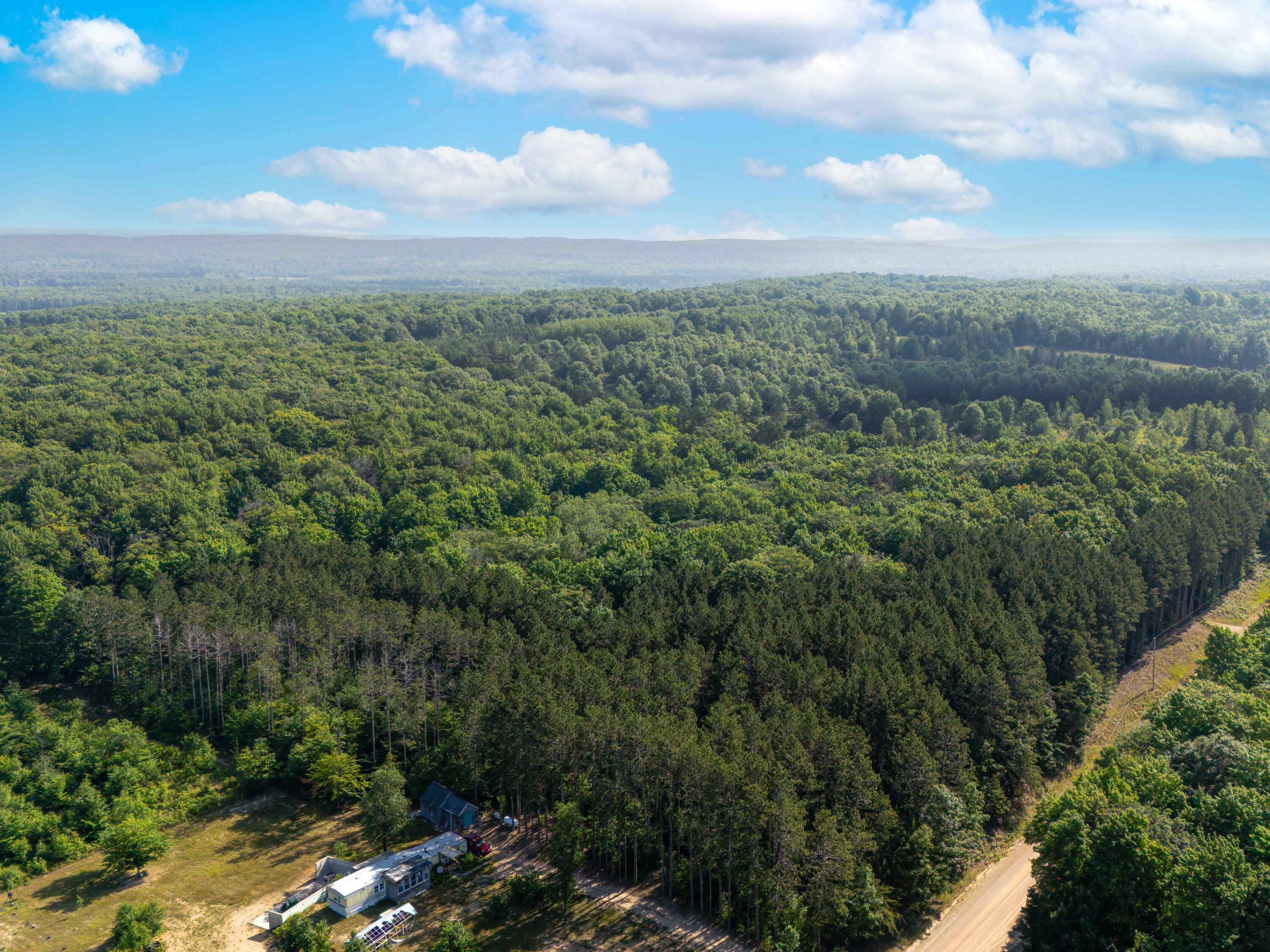 Vl West Phelps Road Manton, MI 49663 - Photo 7 of 16 DJI_20250709101822_0042_D-Edit