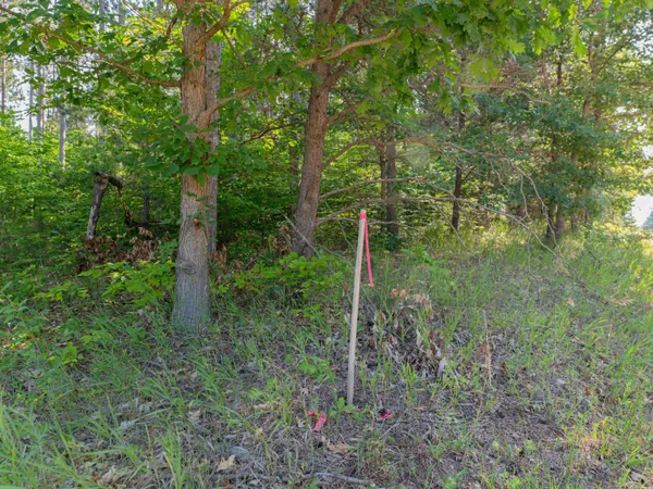 $69,900 | Vl West Phelps Road, Manton, MI 49663