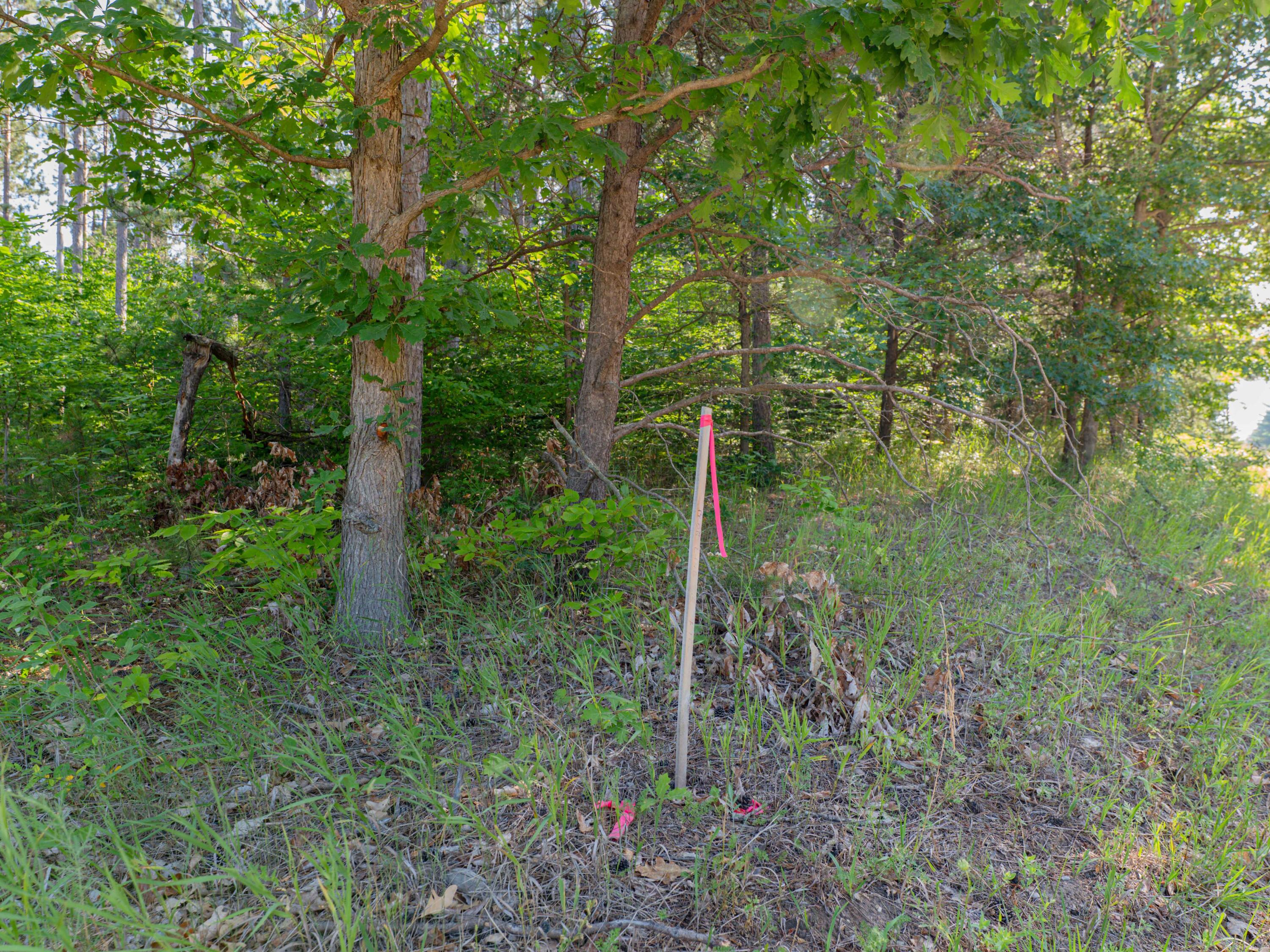 Vl West Phelps Road Manton, MI 49663 - Photo 8 of 16 P1000305