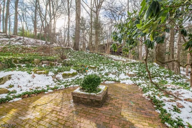 a view of a garden with large tree