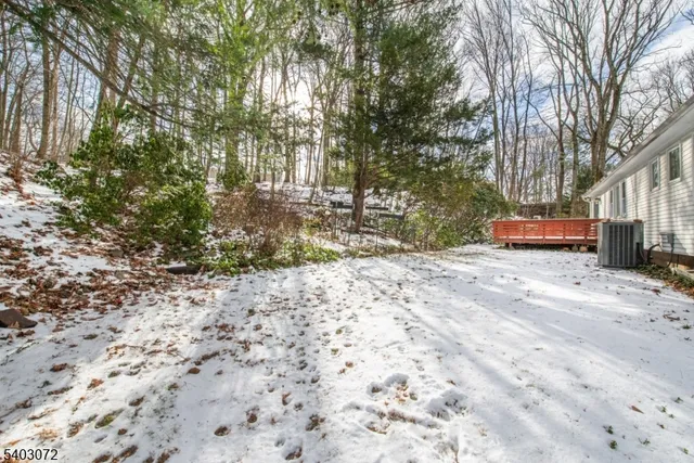 a backyard of a house with a large tree