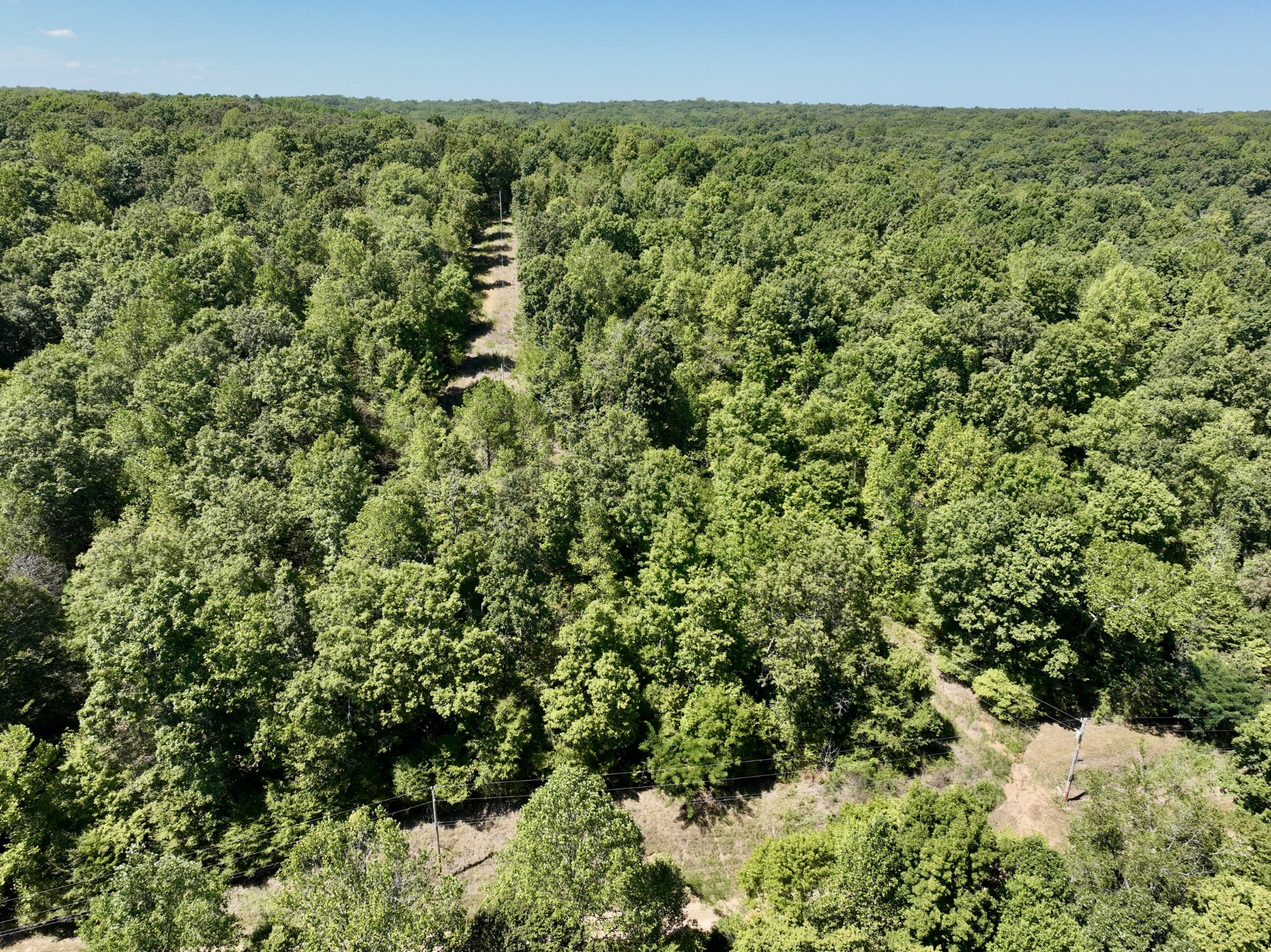 321 Lowery Cemetery Road Cumberland City, TN 37050 - Photo 13 of 50 Gallery Image 13