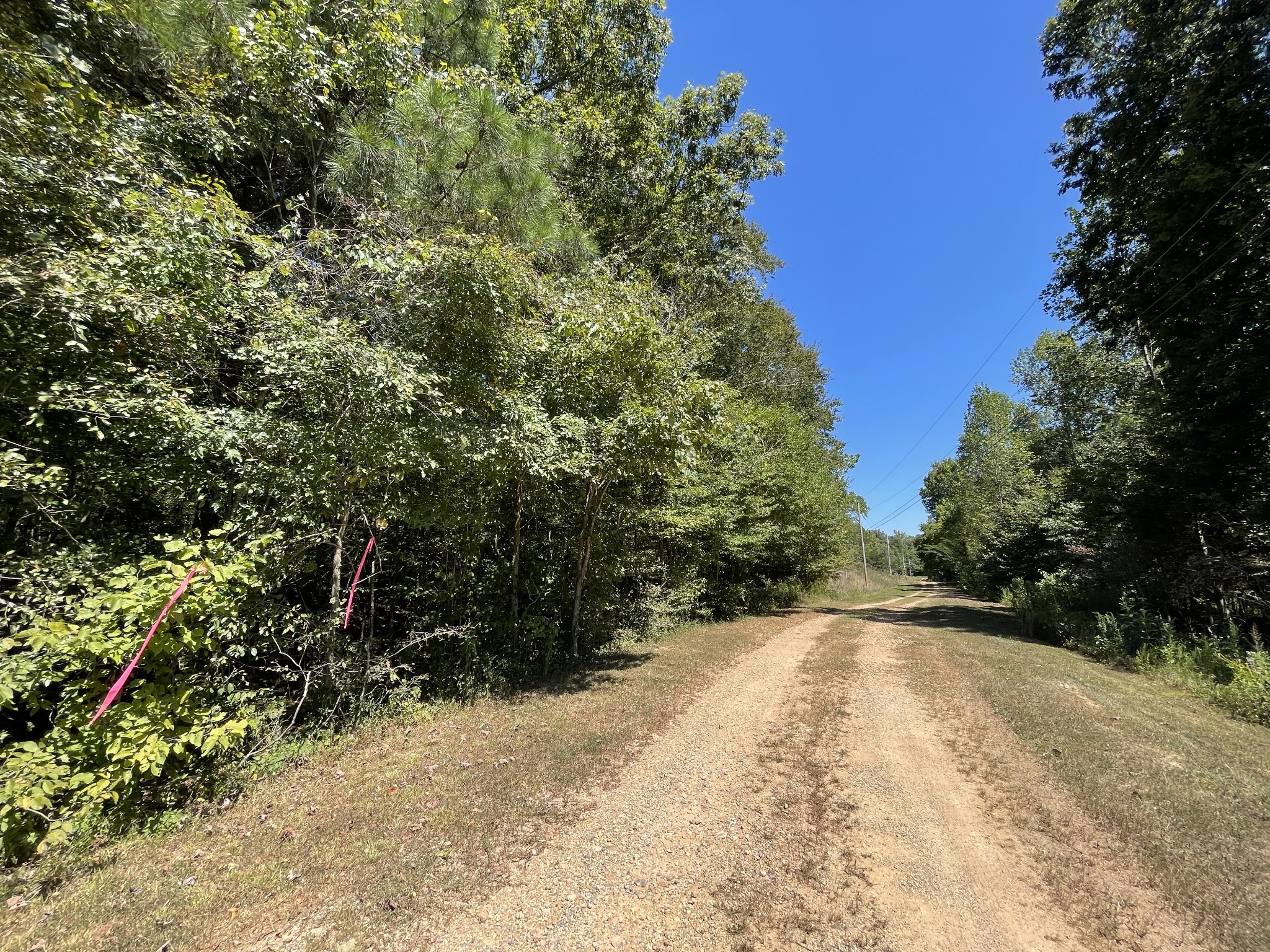 321 Lowery Cemetery Road Cumberland City, TN 37050 - Photo 2 of 50 Gallery Image 2