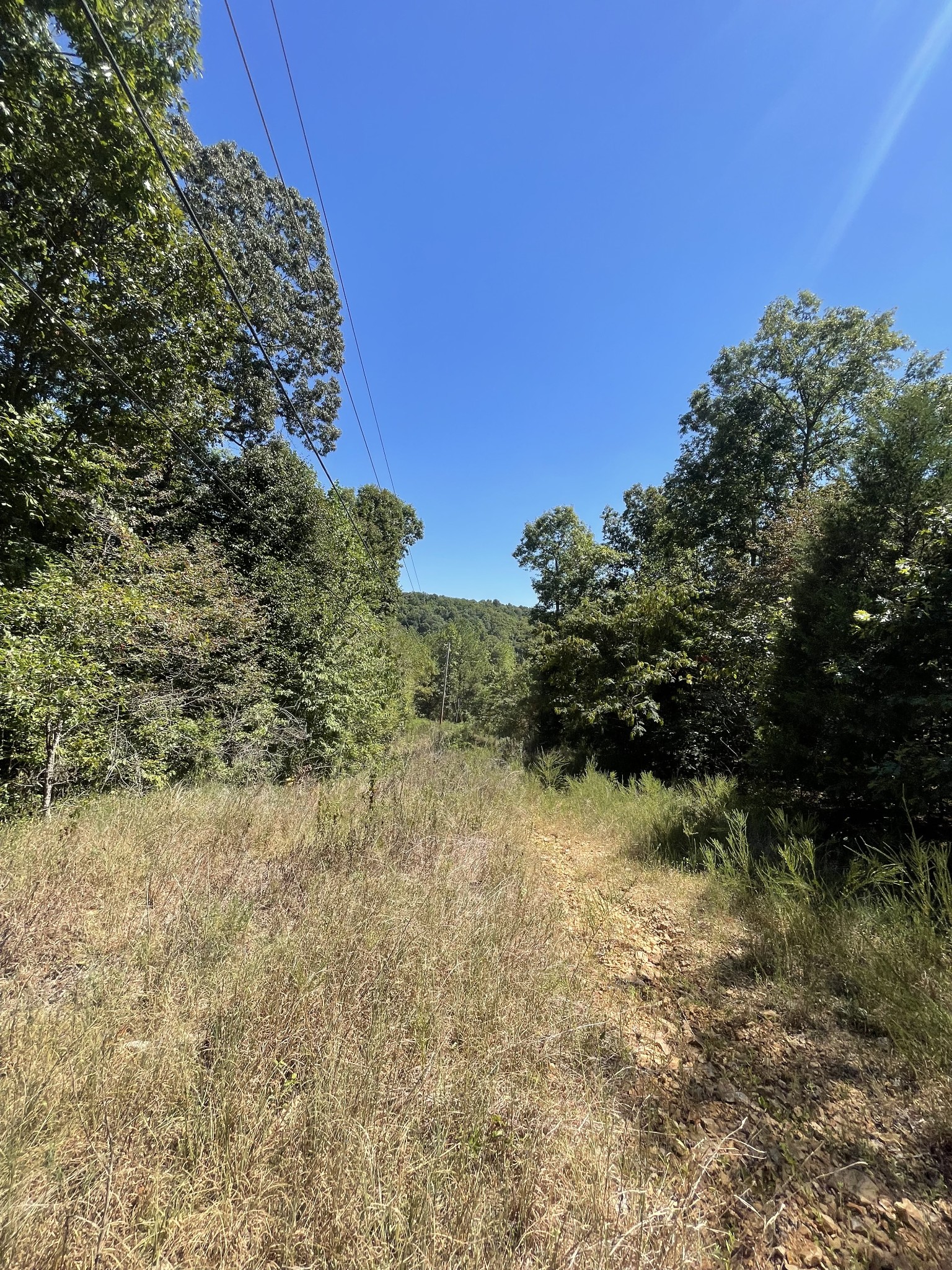 321 Lowery Cemetery Road Cumberland City, TN 37050 - Photo 26 of 50 Gallery Image 26