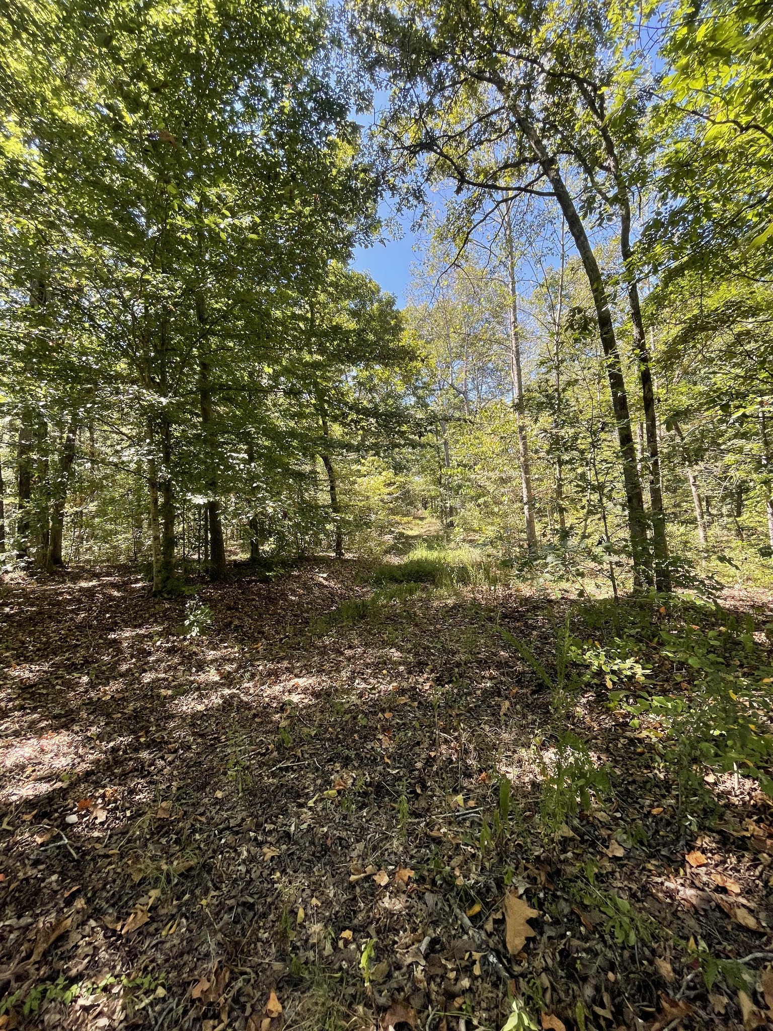 321 Lowery Cemetery Road Cumberland City, TN 37050 - Photo 30 of 50 Gallery Image 30