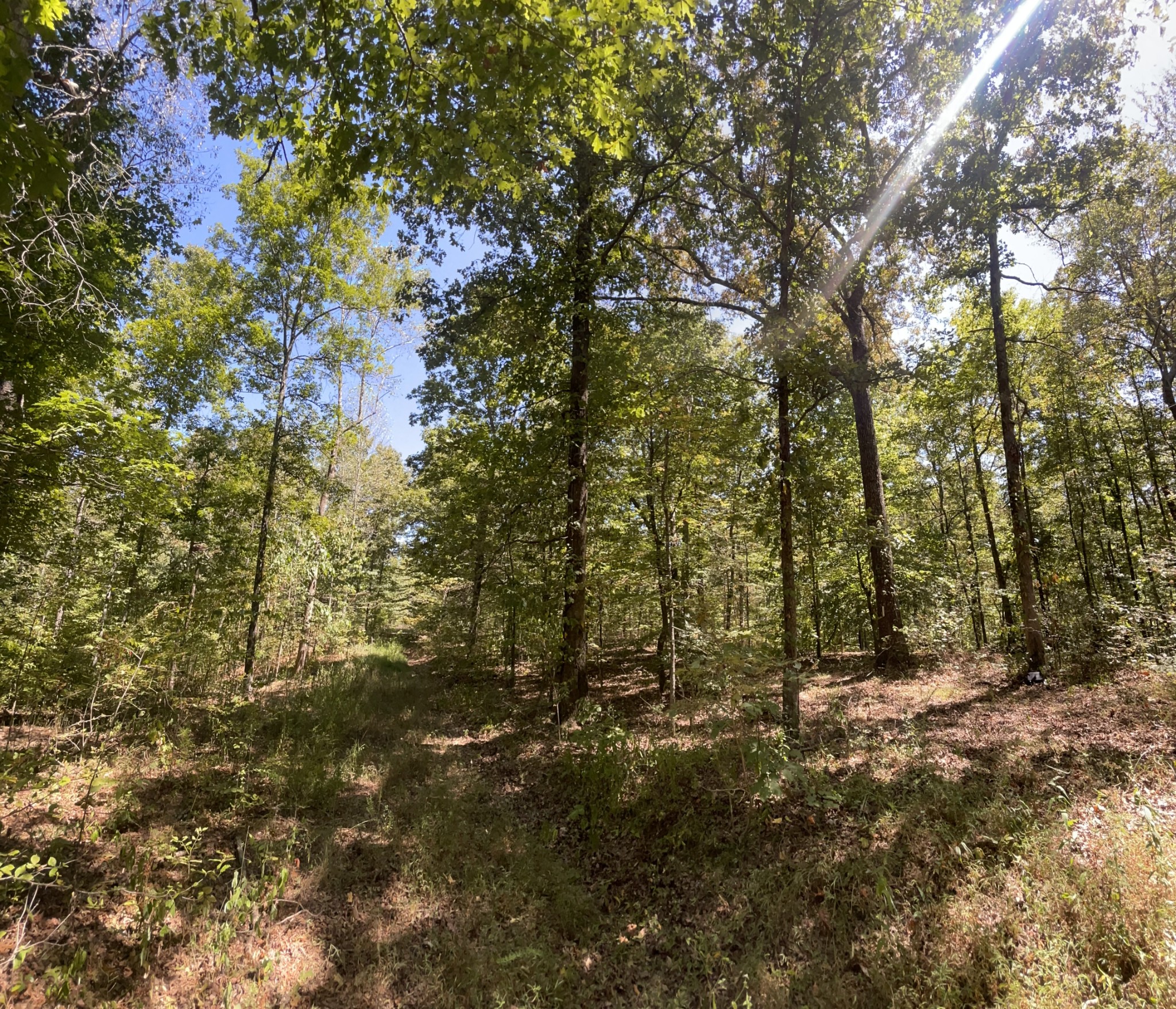 321 Lowery Cemetery Road Cumberland City, TN 37050 - Photo 32 of 50 Gallery Image 32