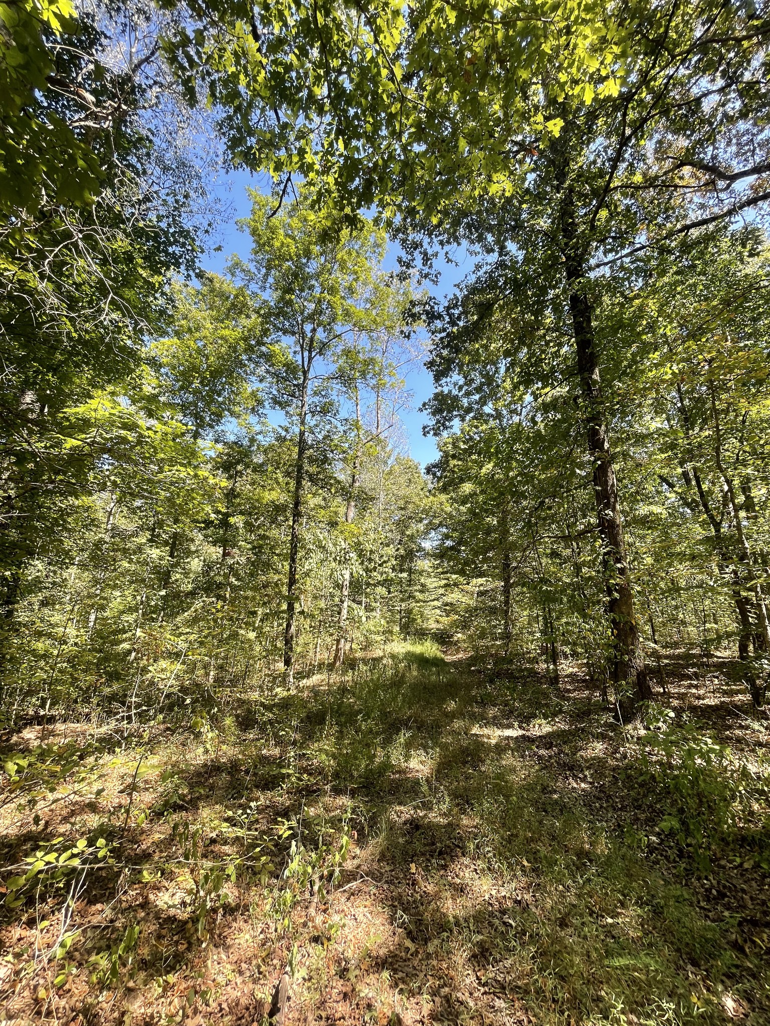 321 Lowery Cemetery Road Cumberland City, TN 37050 - Photo 33 of 50 Gallery Image 33