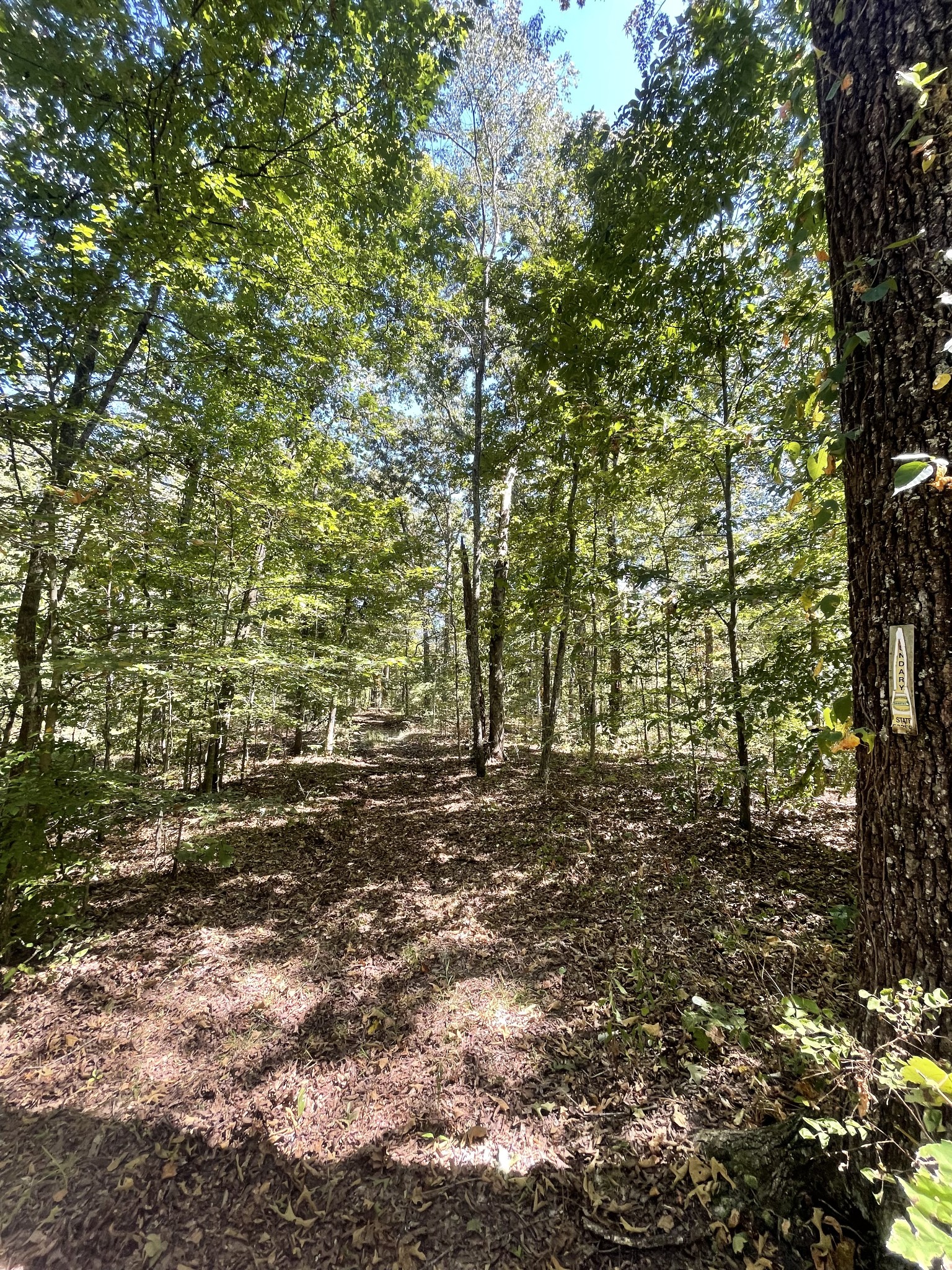 321 Lowery Cemetery Road Cumberland City, TN 37050 - Photo 34 of 50 Gallery Image 34